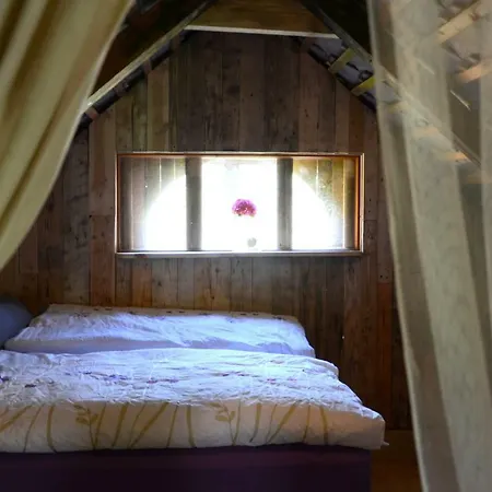 Garden House Hostel